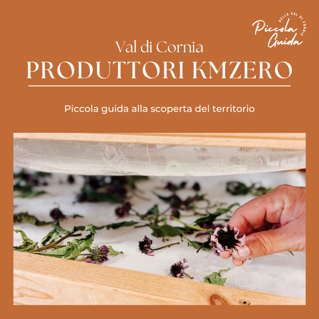La Gualda Vecchia - podere tra Piombino e Cecina