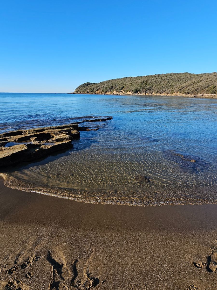 spiagge costa degli etruschi